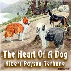 The Heart of a Dog