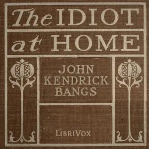 The Idiot at home