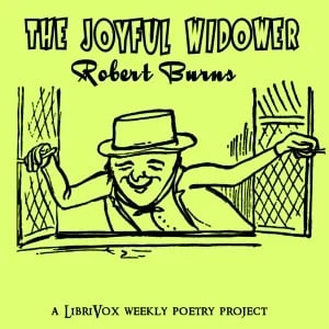 The Joyful Widower