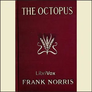 The Octopus