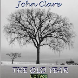The Old Year