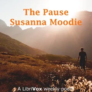 The Pause