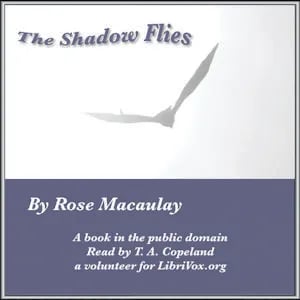The Shadow Flies
