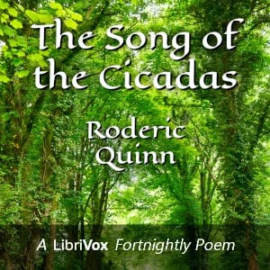 The Song of the Cicadas