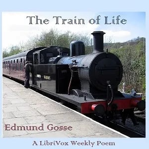 The Train of Life