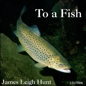 To a Fish
