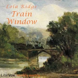 Train Window