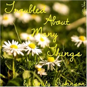 Troubled About Many Things