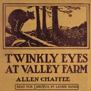 Twinkly Eyes at Valley Farm