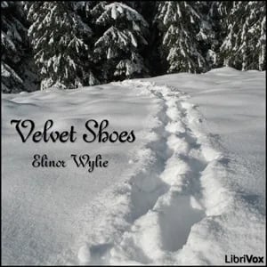 Velvet Shoes