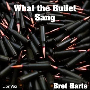 What the Bullet Sang