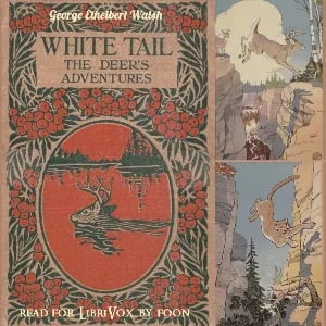 White Tail the Deer's Adventures