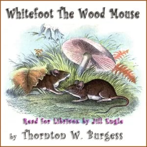 Whitefoot the Wood Mouse
