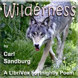 Wilderness