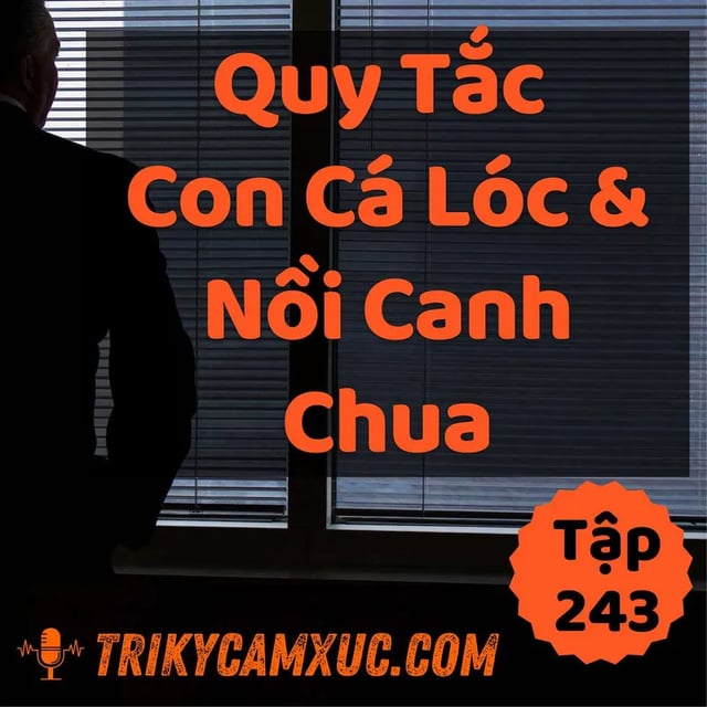 Ep242: Quy Tắc "Con Cá Lóc Và Nồi Canh Chua" - Tri kỷ cảm xúc #243