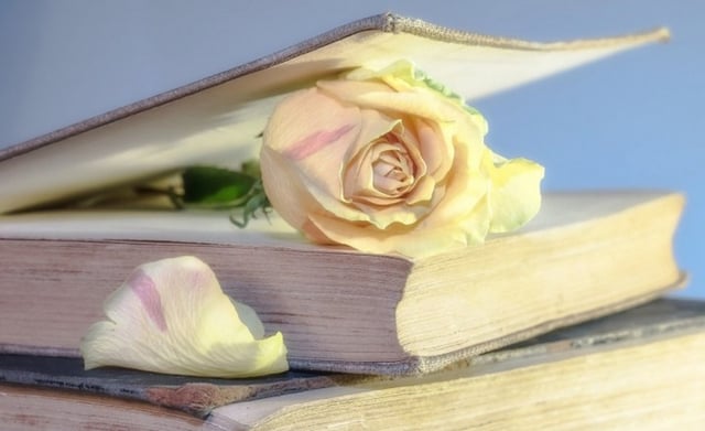 Ebook, Audiobook hay sách giấy: Hình thức đọc sách nào mới là tốt nhất?