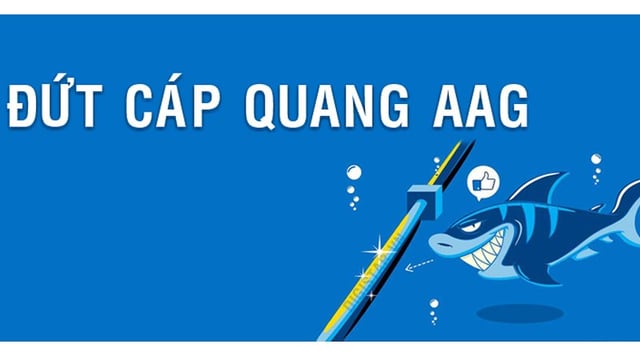 Kết nối chậm do sự cố đứt cáp quang biển